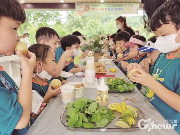 지난 7일 양천도시농업공원에서 상반기 도시농업 프로그램 종강을 기념해 열린 ‘도심 속 팜(Farm) 파티’. 꼬마농부들이 직접 기르고 수확한 감자를 맛보고 있다. 