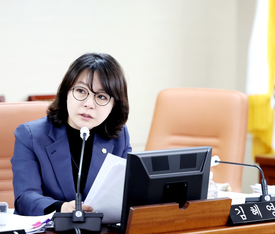 김혜영 의원